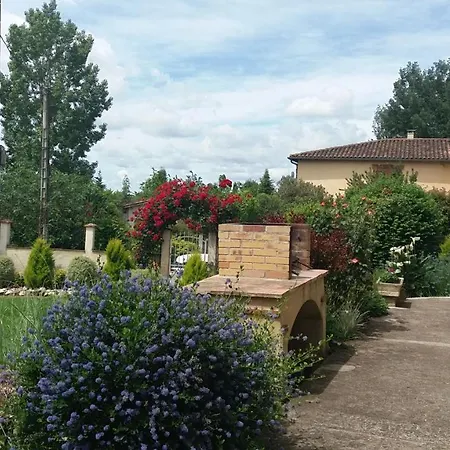 Abeille-soleil Saint-Nicolas-de-la-Grave