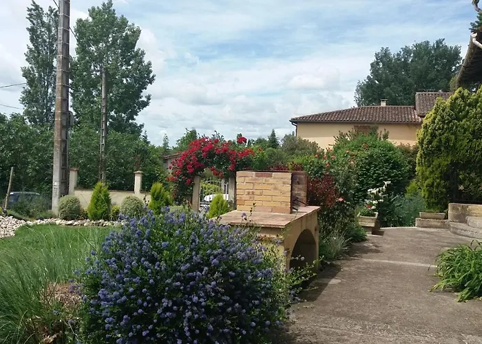 Abeille-soleil Saint-Nicolas-de-la-Grave